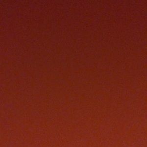 Meet your Posher, Scarlett